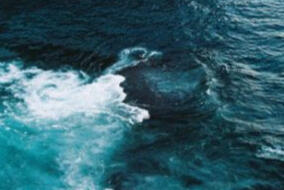 ID: dark blue green water with white foam to the left and black water towards the middle